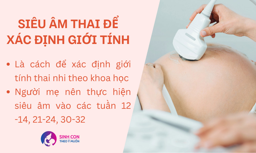 Thực hiện siêu âm để biết giới tính con