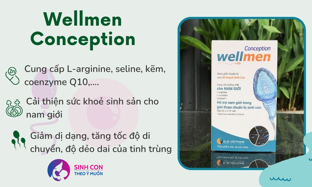 Wellmen Conception