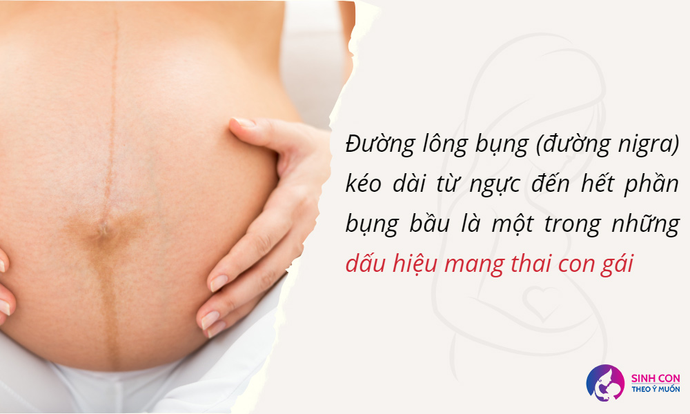 Dựa vào đường lông bụng để dự đoán giới tính của con