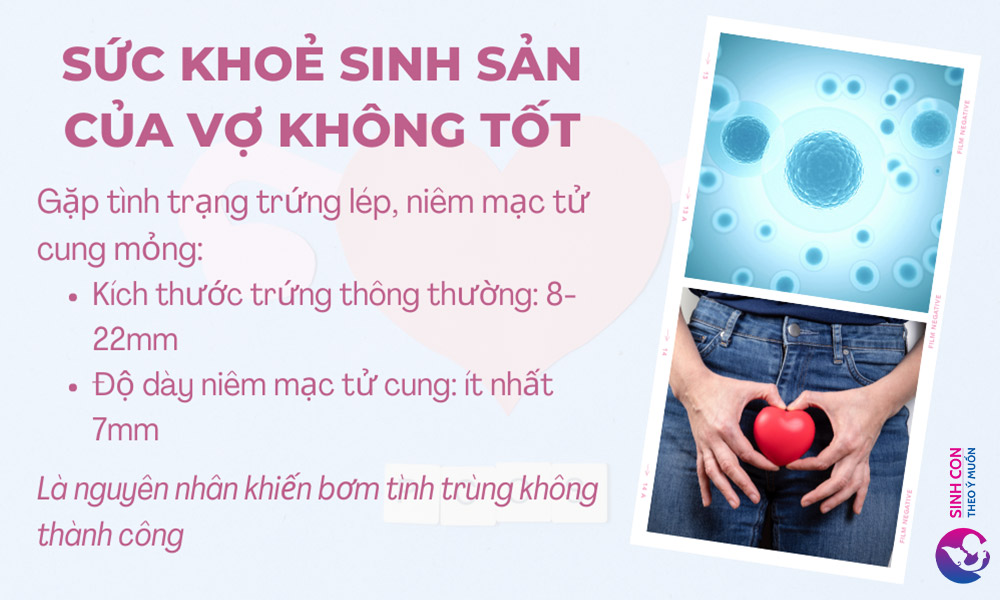 Sức khoẻ sinh sản ảnh hưởng tới khả năng thụ thai