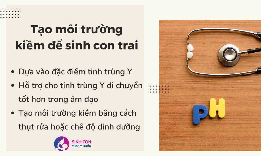 Tạo môi trường kiềm cho tinh trùng Y