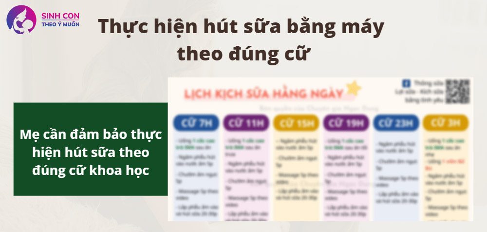 Kích sữa bằng cách hút sữa theo lịch