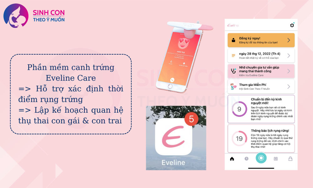 Phần mềm sinh con theo ý muốn Eveline Care