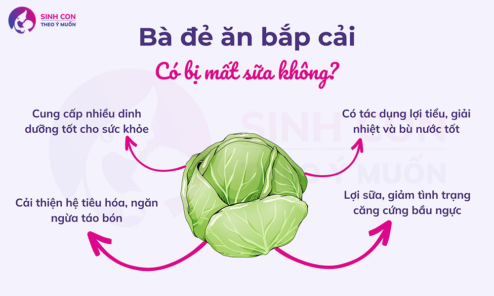 Bà đẻ ăn bắp cải có bị mất sữa?