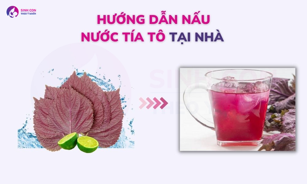 Cách nấu nước lá tía tô tại nhà