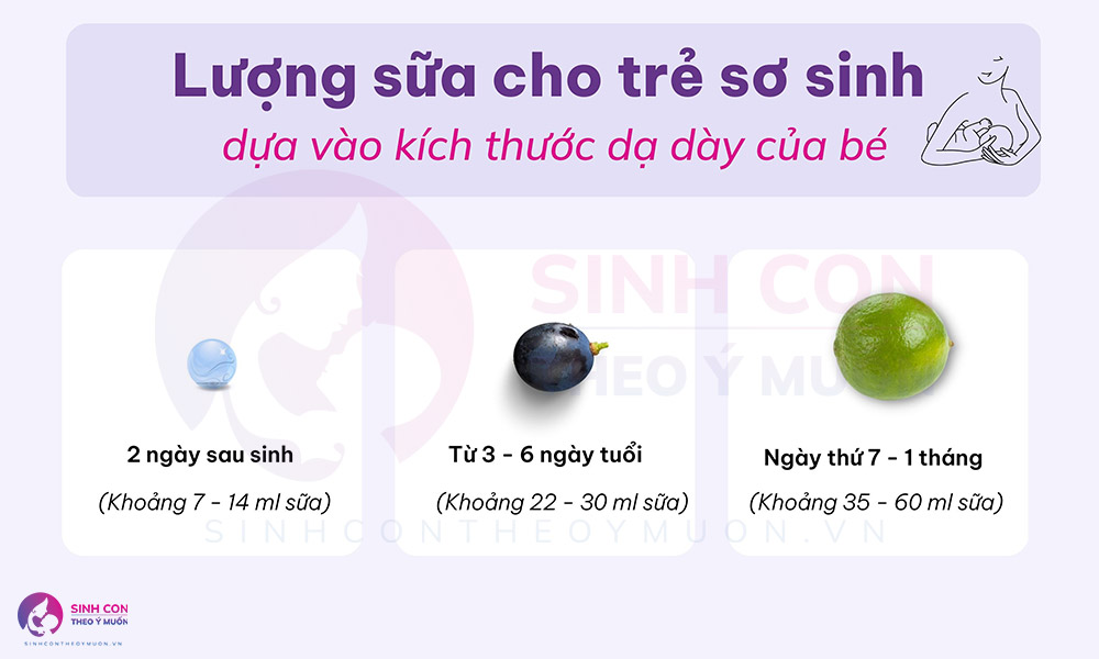 Lượng sữa cho trẻ sơ sinh dựa vào kích thước dạ dày của trẻ