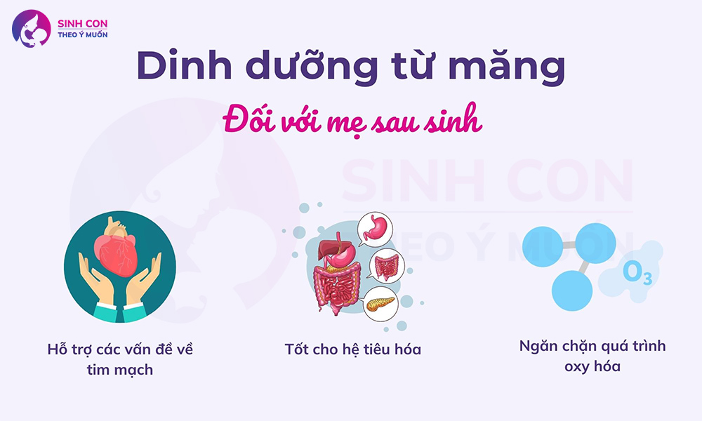 Măng cung cấp dinh dưỡng cho mẹ sau sinh