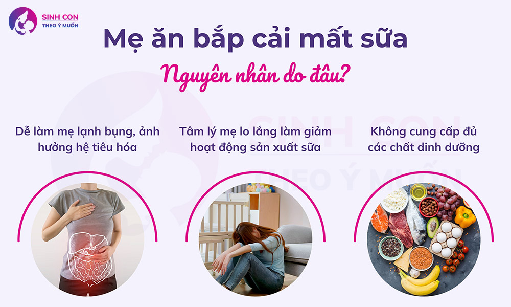 Nguyên nhân mẹ ăn bắp cải mất sữa