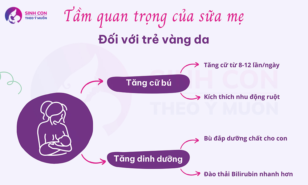 tam quan trong cua sua me doi voi tre bi vang da
