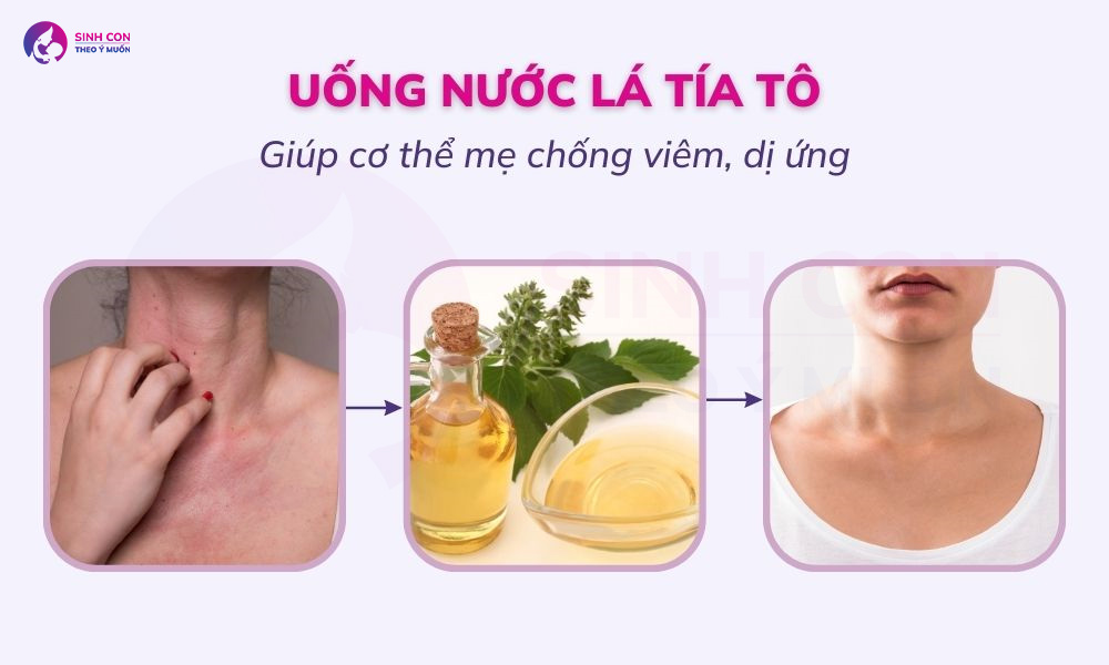 Nước lá tía tô giúp mẹ chống viêm, dị ứng