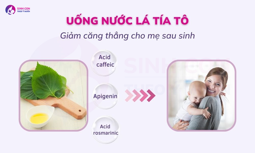Nước lá tía tô giúp mẹ sau sinh giảm căng thẳng