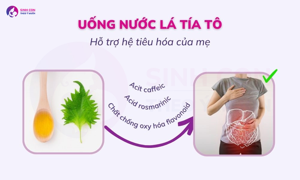 Nước lá tía tô hỗ trợ tốt cho hệ tiêu hóa của mẹ