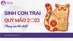 sinh con trai năm 2023 tháng nào tốt nhất