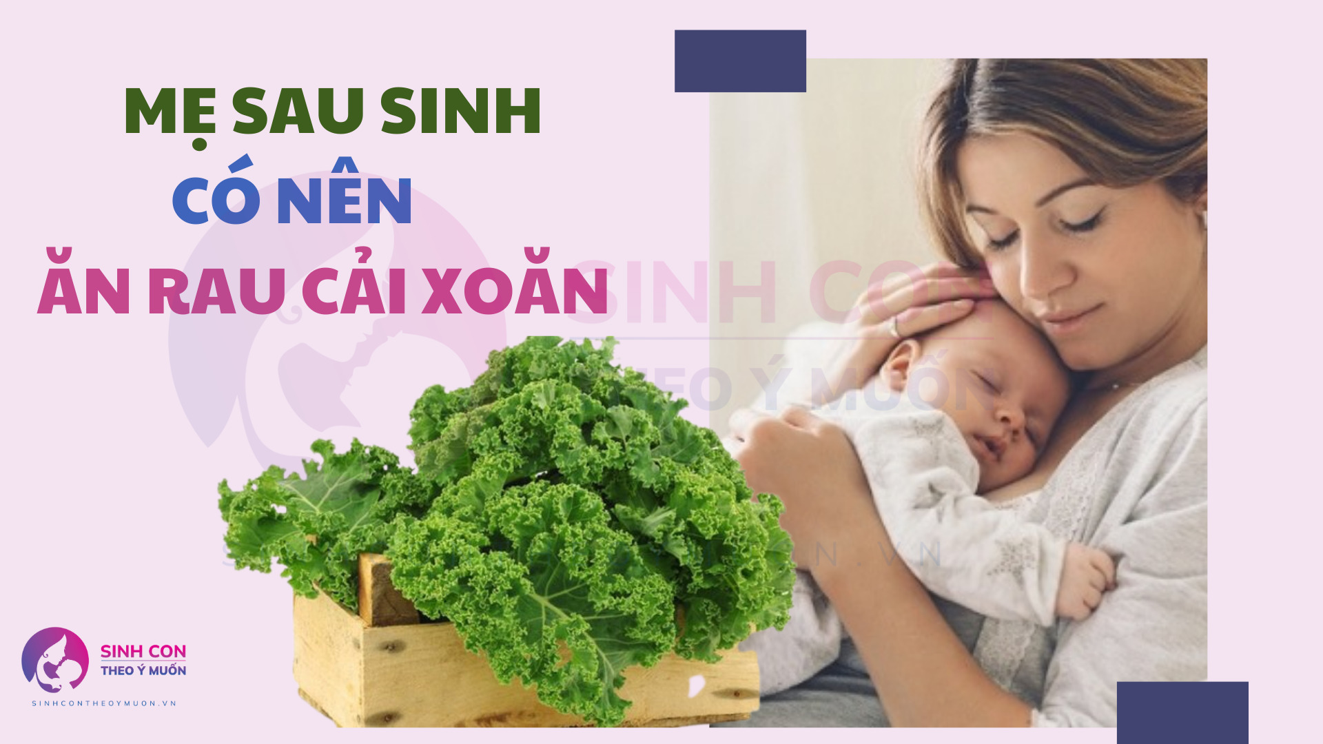 Rau cải xoăn có rất nhiều chất dinh dưỡng