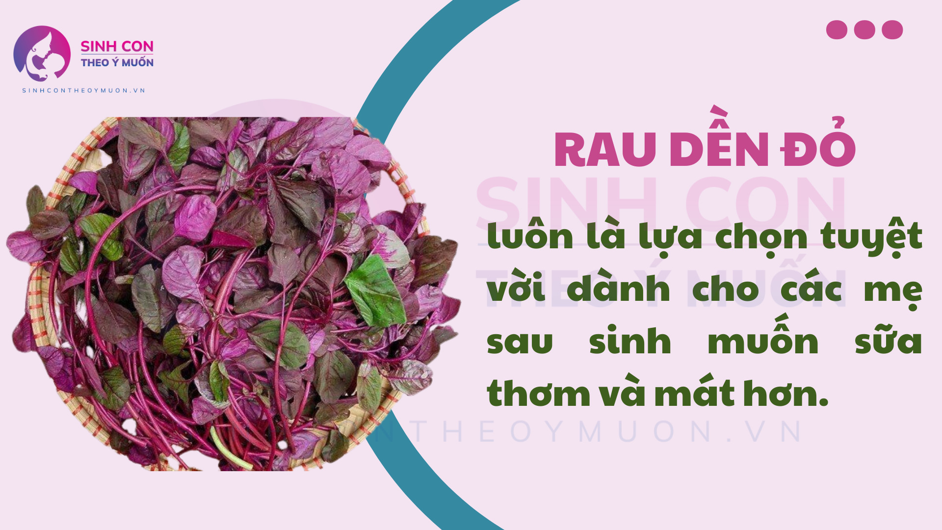 Rau dền đỏ giúp tiết nhiều sữa hơn