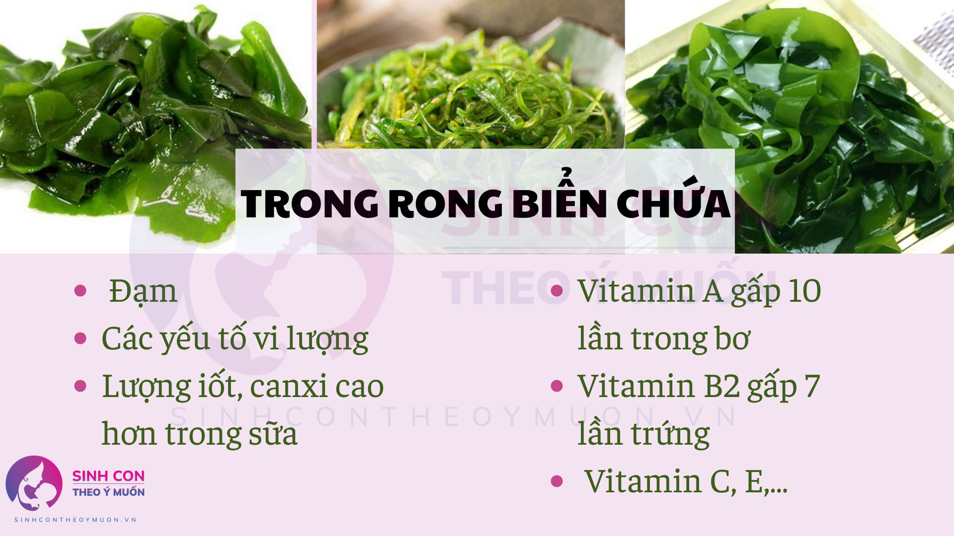 Trong rong biển chứa nhiều chất dinh dưỡng tốt cho sữa mẹ