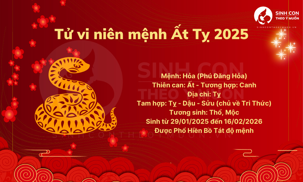 Tử vi niêm mệnh năm 2025