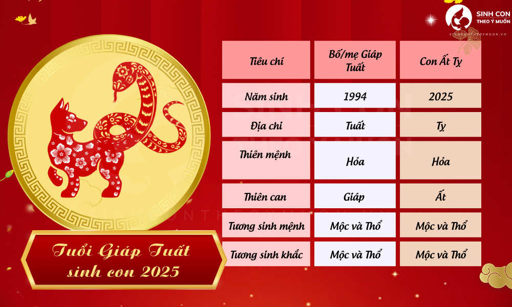 Tuổi Giáp Tuất sinh con năm 2025