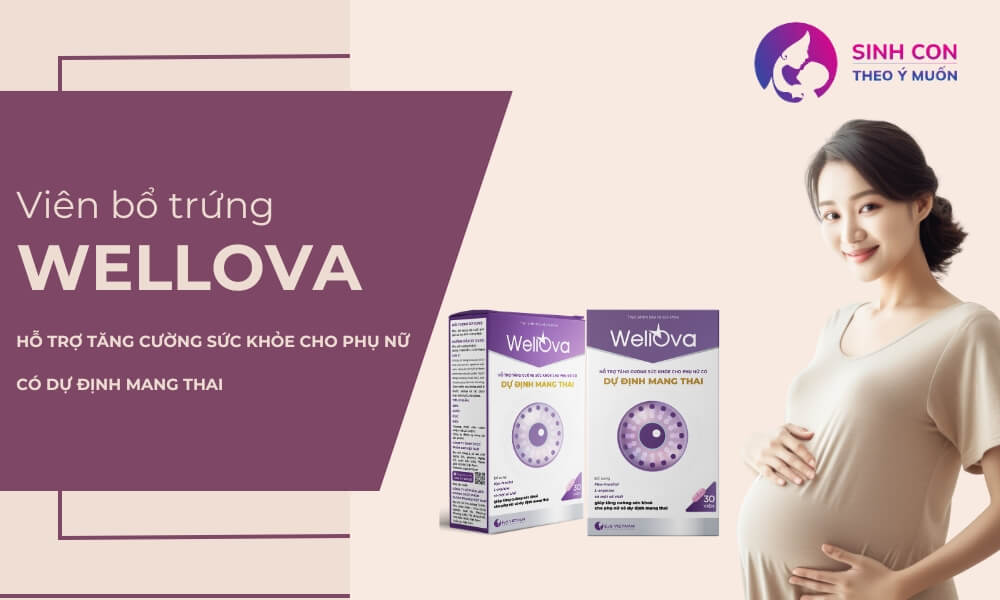 Bổ trứng WellOva - Lựa chọn hoàn hảo dành cho nữ giới có dự định sinh con