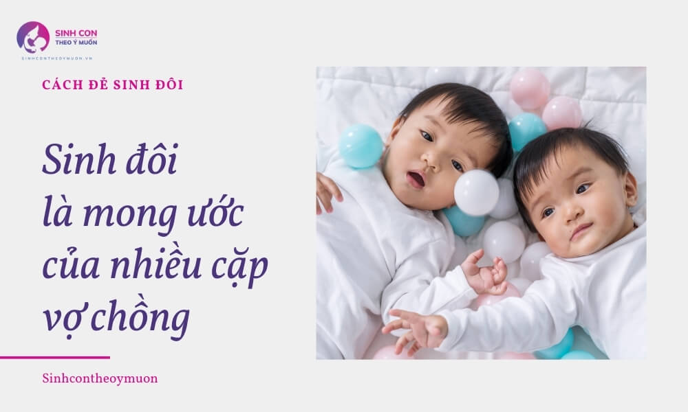 Nhiều cặp vợ chồng hiện nay mong muốn có thể sinh đôi trong cùng 1 lần