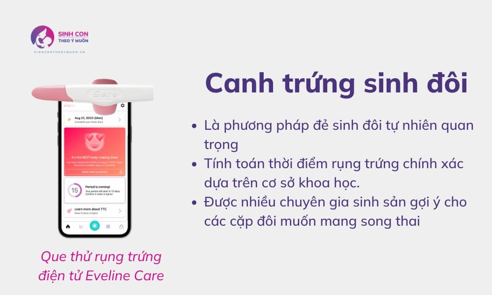 Canh trứng là một cách đẻ sinh đôi hiệu quả