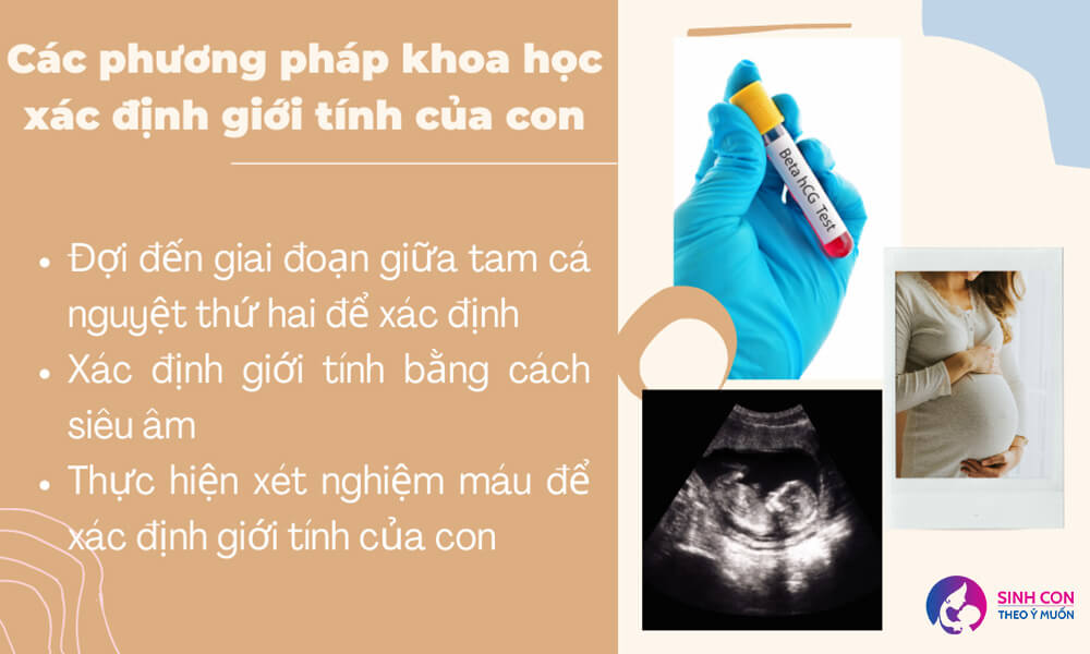 Các phương pháp xác định chính xác giới tính thai nhi