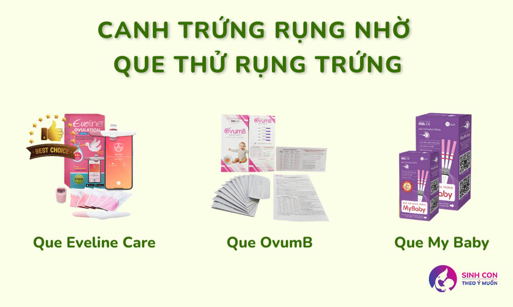 Phương pháp canh trứng chính xác cho phụ nữ kinh nguyệt không đều
