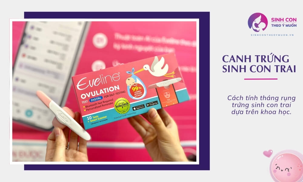 Các tính tháng sinh con trai bằng phương pháp canh trứng theo khoa học