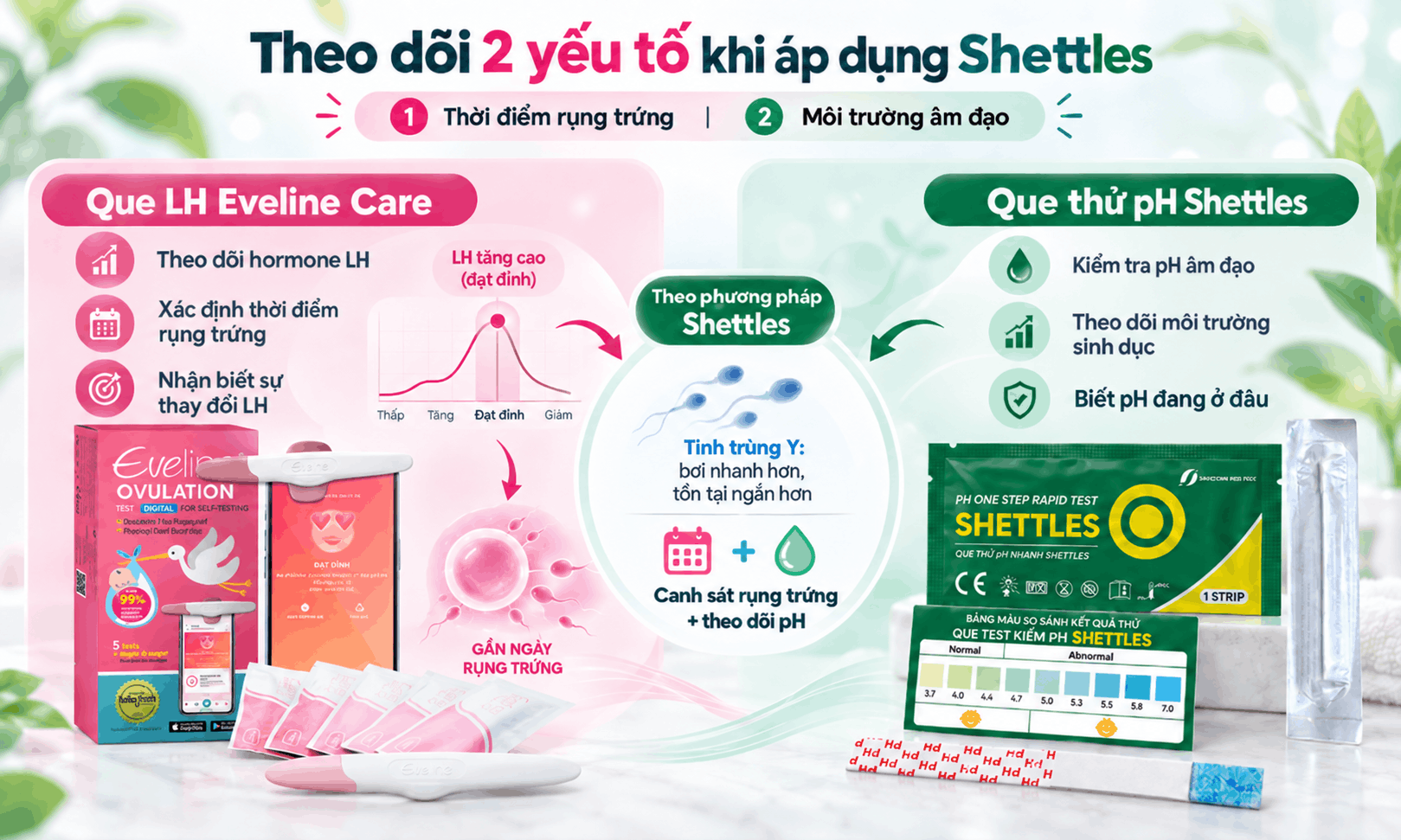 Que thử kiềm sinh con trai và que LH: Phân biệt đúng khi canh trứng